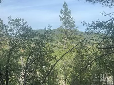 9670 Venturi Dr, Cobb, CA 95461