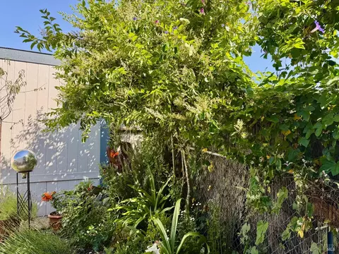 425 W Sierra Ave #9, Cotati, CA 94931 photo 23