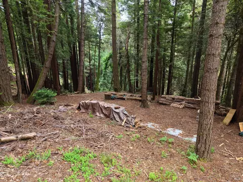 22051 Rust Dr, Timber Cove, CA 95450 photo 15