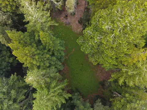 22051 Rust Dr, Timber Cove, CA 95450 photo 5