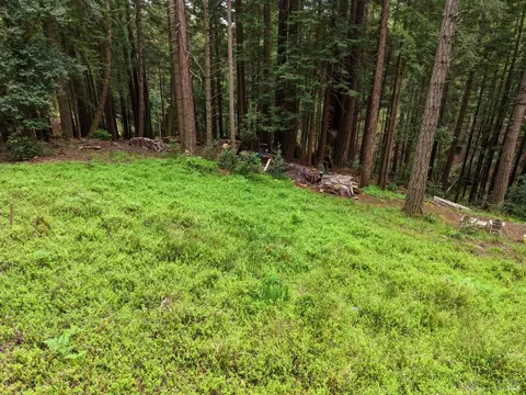 22051 Rust Dr, Timber Cove, CA 95450 photo 35