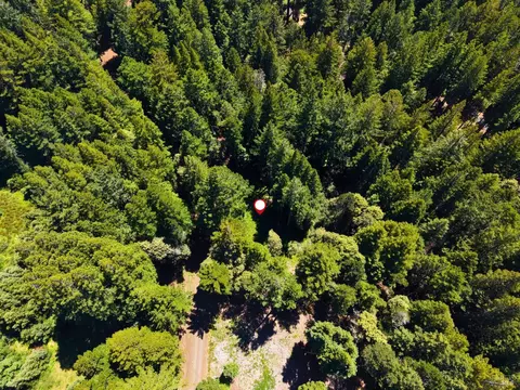 22051 Rust Dr, Timber Cove, CA 95450 photo 9