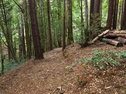22051 Rust Dr, Timber Cove, CA 95450 photo 16