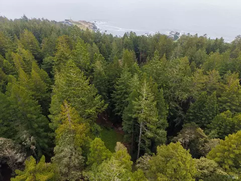 22051 Rust Dr, Timber Cove, CA 95450 photo 23