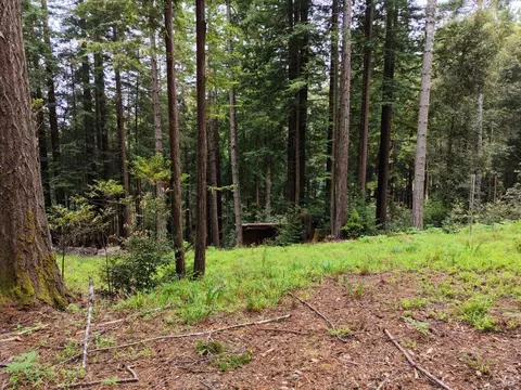 22051 Rust Dr, Timber Cove, CA 95450 photo 6