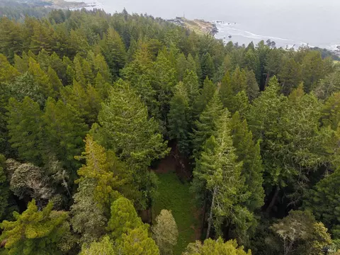 22051 Rust Dr, Timber Cove, CA 95450 photo 27