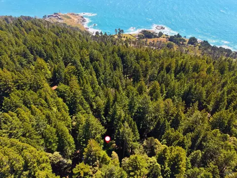 22051 Rust Dr, Timber Cove, CA 95450 photo 2