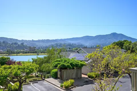 7 Eucalyptus Knoll St, Mill Valley, CA 94941