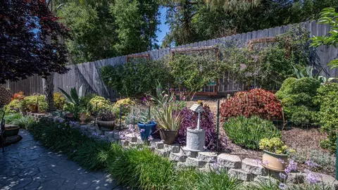 Exterior - 424 Holly St, Vallejo, CA 94589 photo 7 of 14