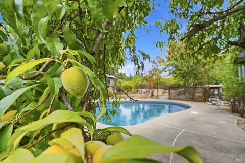 Exterior - 19229 Orange Ave, Sonoma, CA 95476 photo 7 of 17