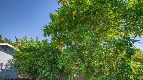 Exterior - 445 Calmace Dr, Dixon, CA 95620 photo 17 of 28