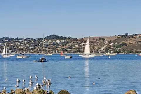 View/Area - 311 3rd St, Sausalito, CA 94965 photo 7 of 12