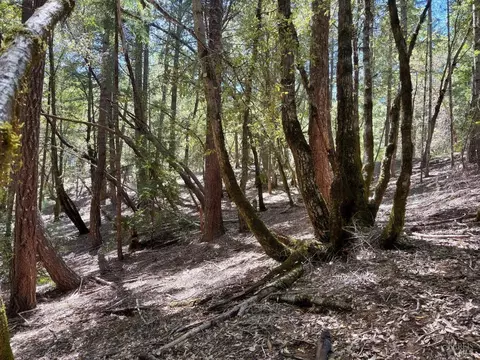 4541 Blue Lake Rd, Willits, CA 95490 photo 5