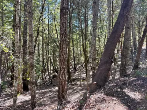 4541 Blue Lake Rd, Willits, CA 95490 photo 2