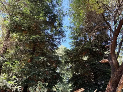 Other - 4591 N State St, Ukiah, CA 95482 photo 10 of 11