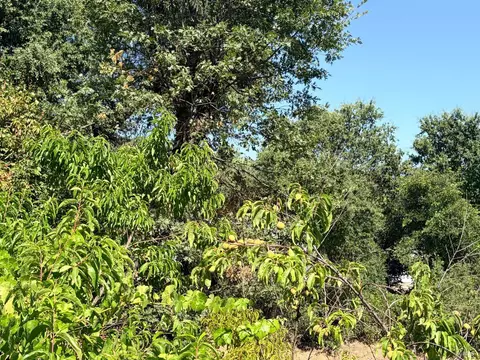 Exterior - 4591 N State St, Ukiah, CA 95482 photo 13 of 13