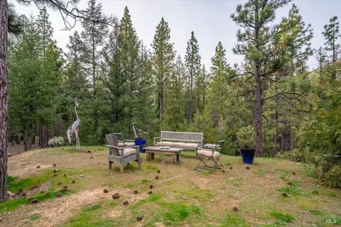 Exterior - 100 Blue Wolf Rnch, Callahan, CA 96014 photo 11 of 13