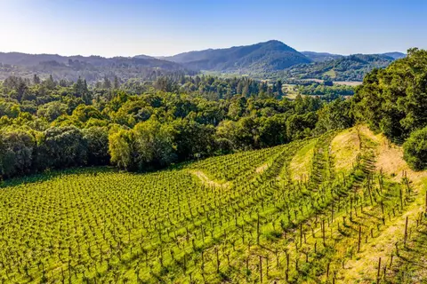 9219 Carols View Ln, Forestville, CA 95436