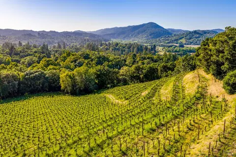 9219 Carols View Ln, Forestville, CA 95436