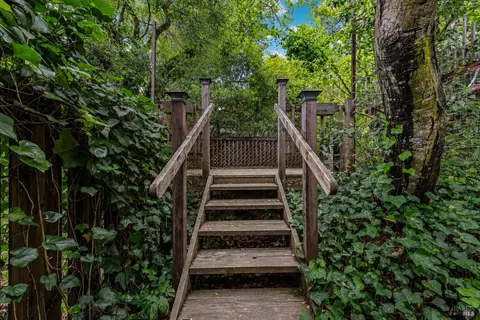 Exterior - 107 Stadium Ave, Mill Valley, CA 94941 photo 4 of 9