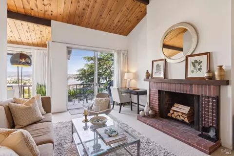 Living - 147-149 Filbert Ave, Sausalito, CA 94965 photo 6 of 6