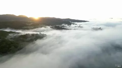 750 Conn Valley Rd, Saint Helena, CA 94574