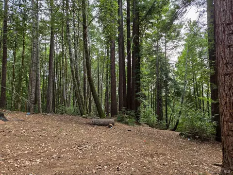 Exterior - 4030 Ridge Cir, Willits, CA 95490 photo 10 of 14