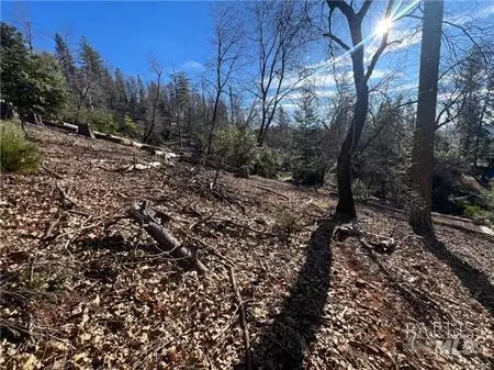 9457 Fox Dr, Cobb, CA 95426 photo 17