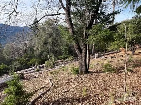 9457 Fox Dr, Cobb, CA 95426 photo 6