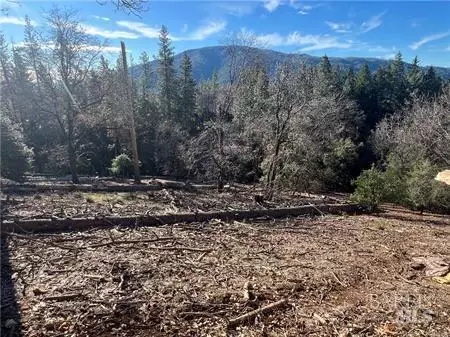 9457 Fox Dr, Cobb, CA 95426 photo 20