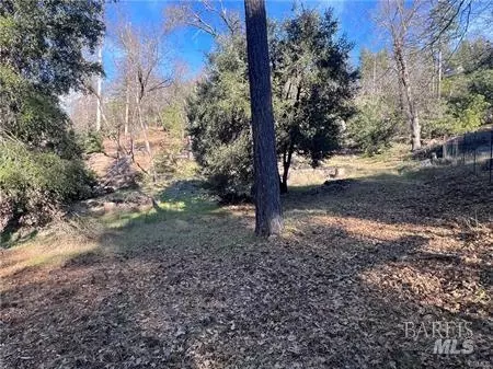 9457 Fox Dr, Cobb, CA 95426 photo 14