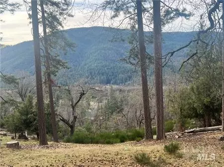 9457 Fox Dr, Cobb, CA 95426