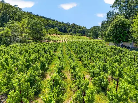 Other - 810 Mcnab Ranch Rd, Ukiah, CA 95482 photo 7 of 7