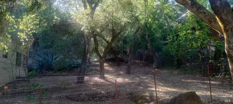 17153 Park Ave, Sonoma, CA 95476 photo 47