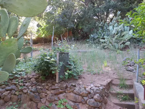 17153 Park Ave, Sonoma, CA 95476 photo 40
