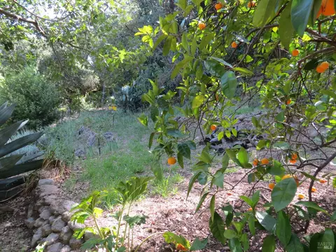 17153 Park Ave, Sonoma, CA 95476 photo 44