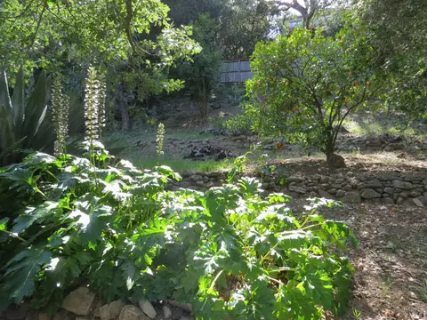 17153 Park Ave, Sonoma, CA 95476 photo 43