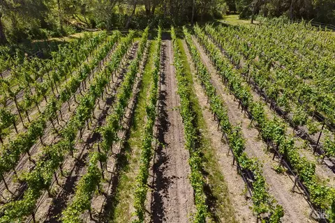 Other - 4542 Thomas Rd, Sebastopol, CA 95472 photo 15 of 19
