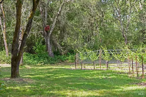 Exterior - 4542 Thomas Rd, Sebastopol, CA 95472 photo 11 of 21