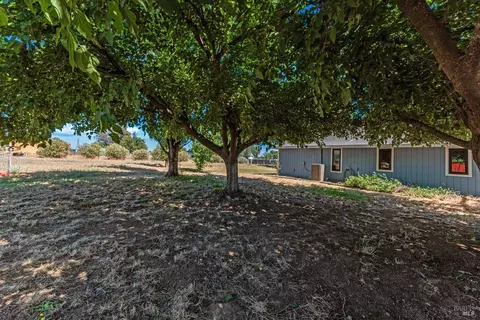 Exterior - 8409 Kobert Ct, Winters, CA 95694 photo 12 of 26