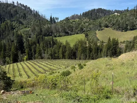 8707 Mill Creek Rd, Healdsburg, CA 95448