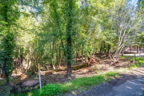 10612 Canyon Rd, Forestville, CA 95436