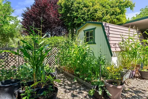 8009 Cliffrose St, Windsor, CA 95492 photo 30