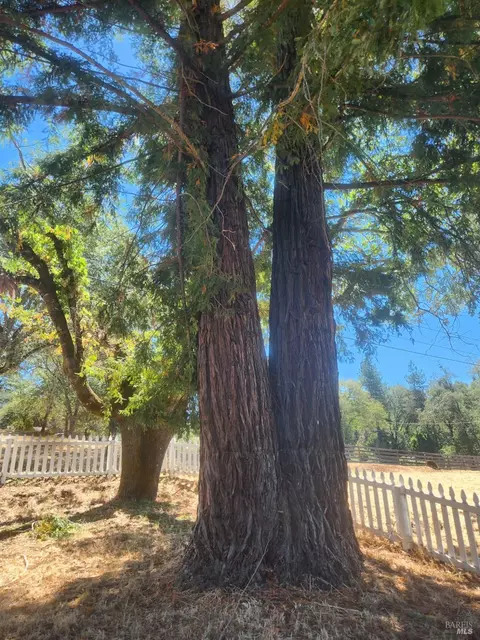 Exterior - 22620 Eastside Rd, Willits, CA 95490 photo 8 of 10