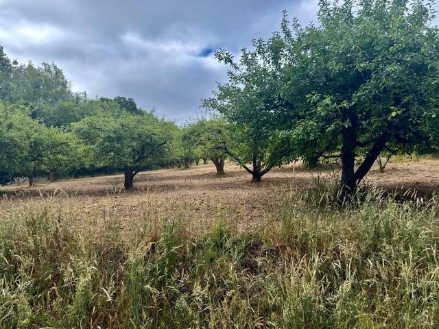 237 Gold Ridge Rd, Sebastopol, CA 95472