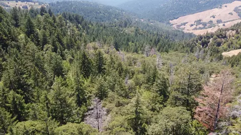 Other - 38401 Upper Rd, Willits, CA 95490 photo 6 of 9