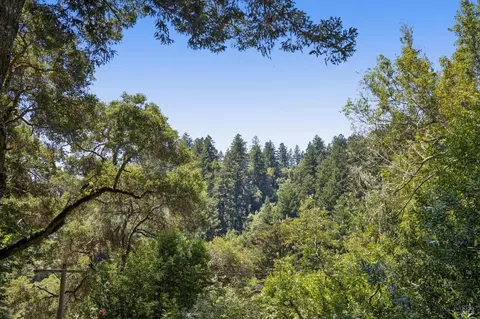 Other - 30 Escondida Ln, Lagunitas, CA 94938 photo 8 of 16