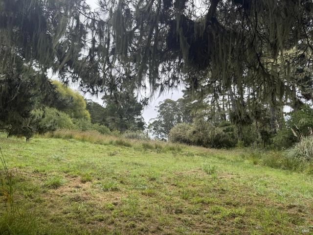 241 A Alder Rd, Bolinas, CA 94924