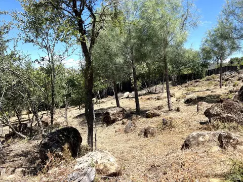 15686 23rd Ave, Clearlake, CA 95422 photo 5