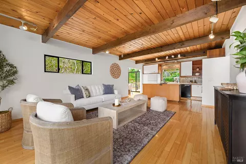Living - 135 Peralta Ave, Mill Valley, CA 94941 photo 2 of 6